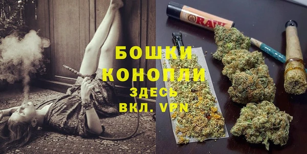 трава Абаза