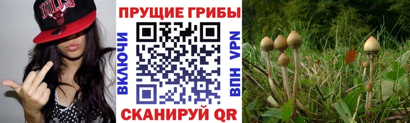 KRAKEN как войти  Холмск  Галлюциногенные грибы ЛСД 